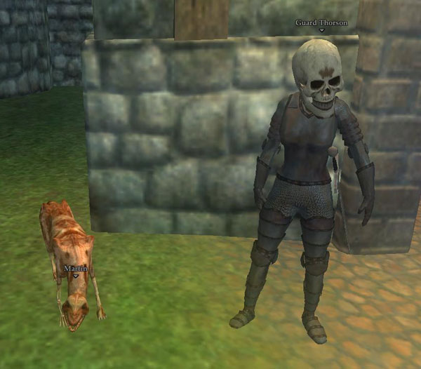 IMAGE- EQ2 guard and guard dog 